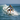 Look 2 – Surf Session