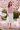 Look 4 - Cherry Blossom