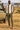 Male model beside a safari vehicle in the Kenyan savannah