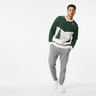 Male model grey joggers