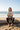 Natural — Driftwood