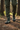 Olive cargo forest trail