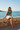 Palm Sunset Knit — Harbor Wall