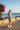 Play By The Book — Harbor Bermudas