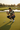 Putting Green