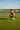 Putting Green