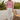 Rooftop Resort Editorial