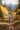 Sandstone – Jean Shorts – Fall Forest