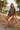 Seated coastal garden editorial
