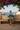 Tropical Sweatshirt — Piazza