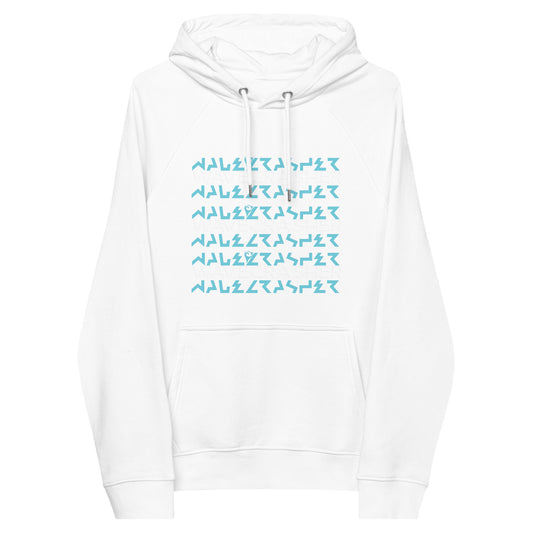 WaveCrasher Unisex eco raglan hoodie