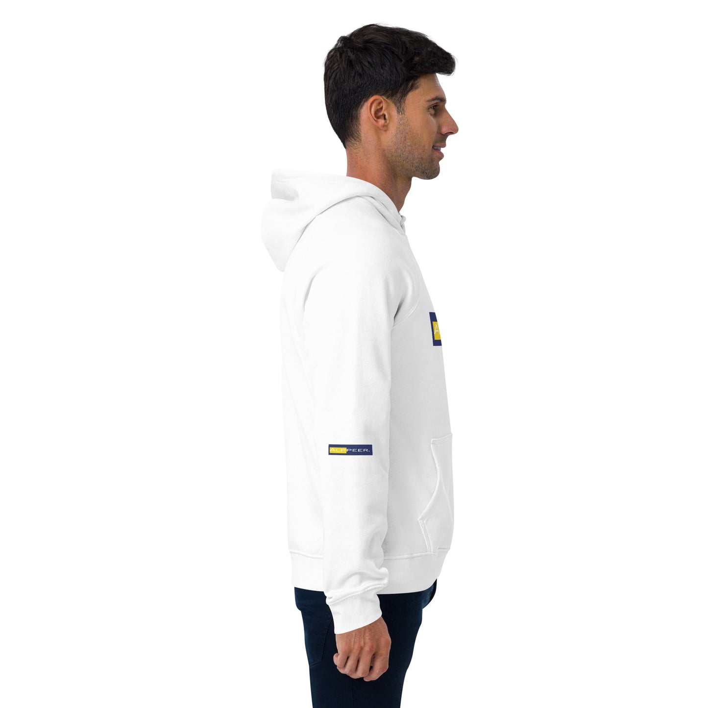 Alps raglan hoodie