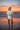 White — Female, Golden Hour